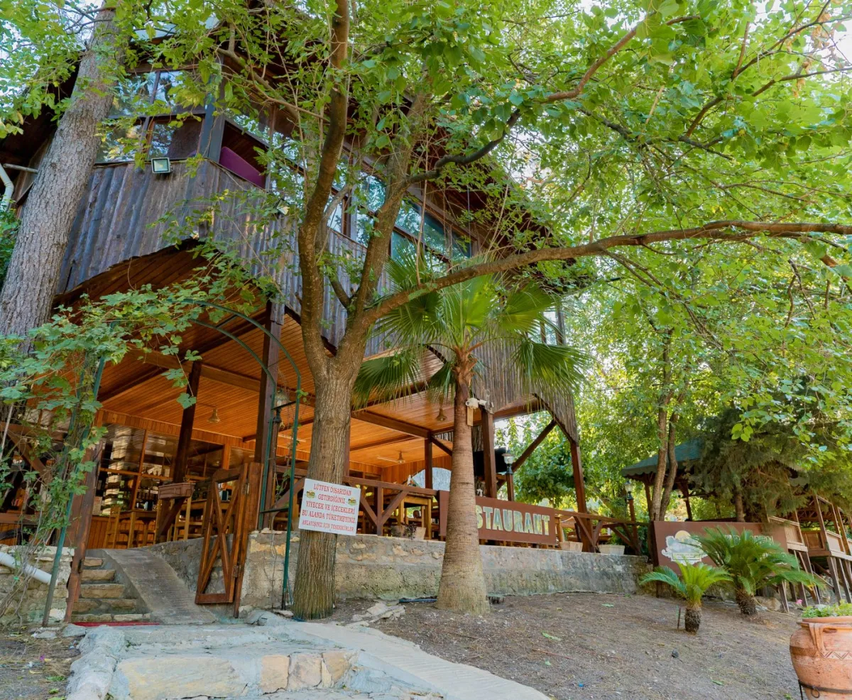 Türkmen Tree Houses