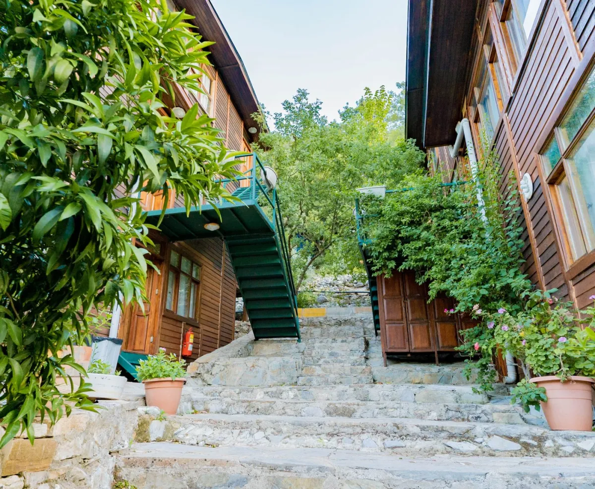 Türkmen Tree Houses