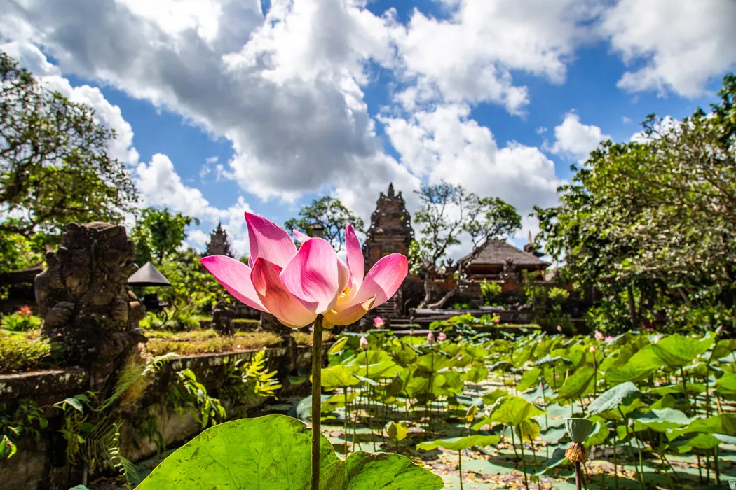 Comfort Ubud Bali Turu THY ile Ekstra Turlar Dahil / 6 Gece Otel Konaklamalı / İstanbul Çıkışlı