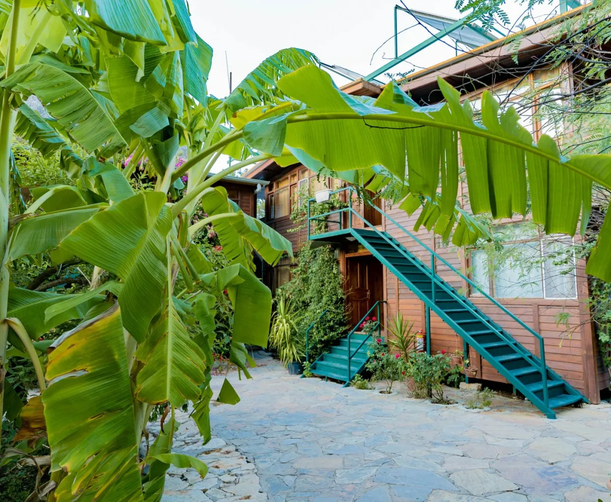 Türkmen Tree Houses