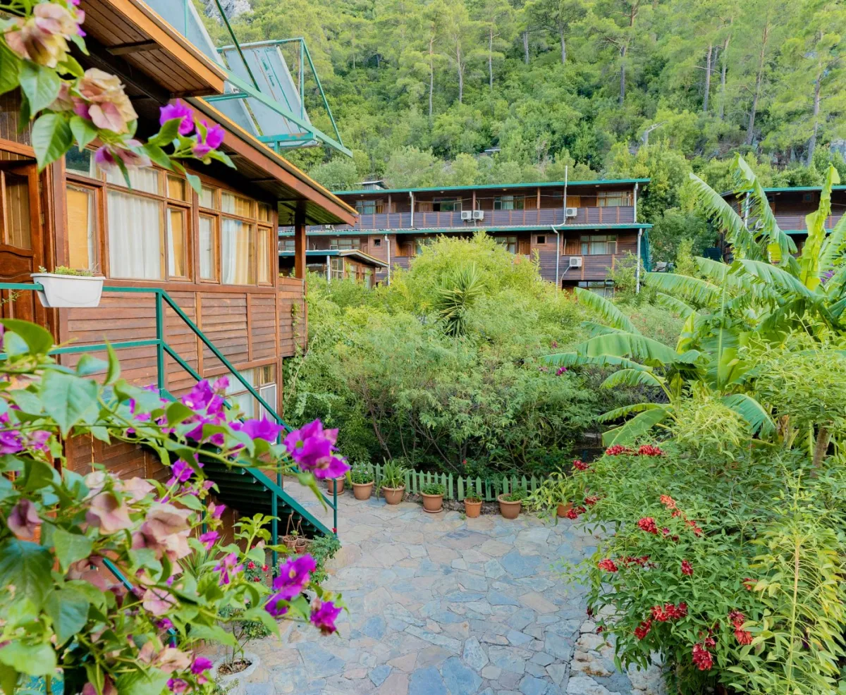 Türkmen Tree Houses