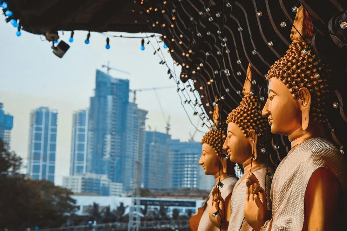 Sri Lanka Turu THY ile Yaz Dönemi Özel / 6 Gece Otel Konaklamalı / İstanbul Çıkışlı / 2027