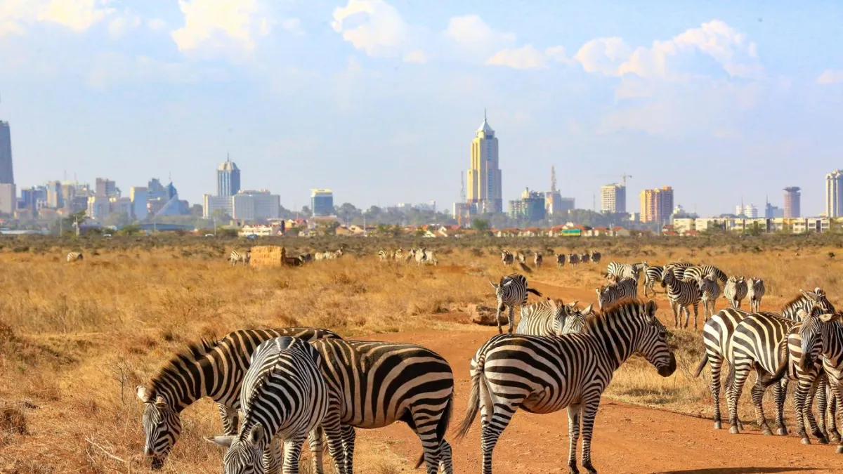 Flex Güney Afrika ve Safari Turu THY ile Vizesiz / 5 Gece Otel Konaklamalı / İstanbul Çıkışlı