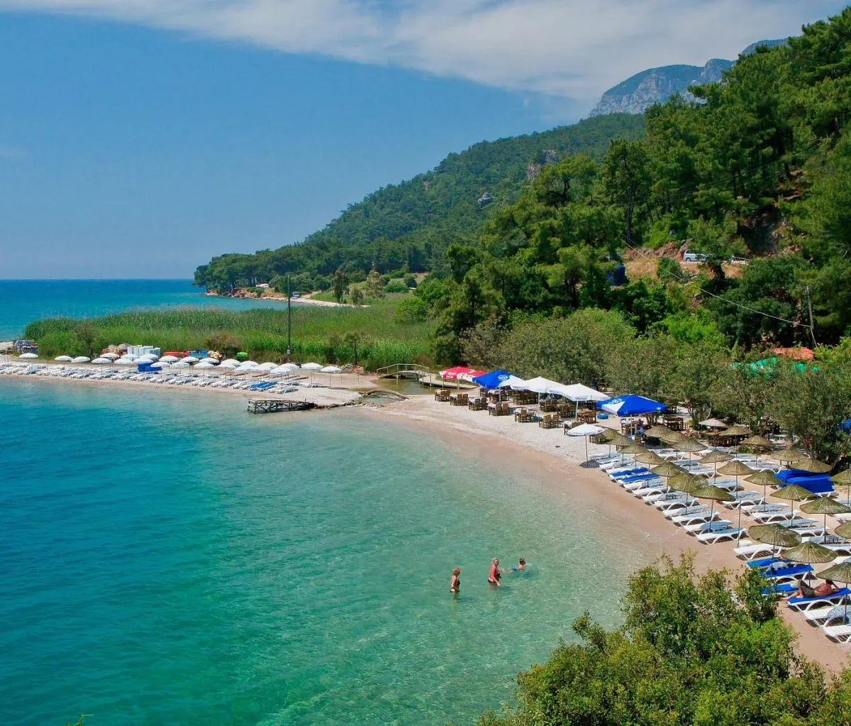 DATÇA BADEM ÇİÇEĞİ FESTİVALİ