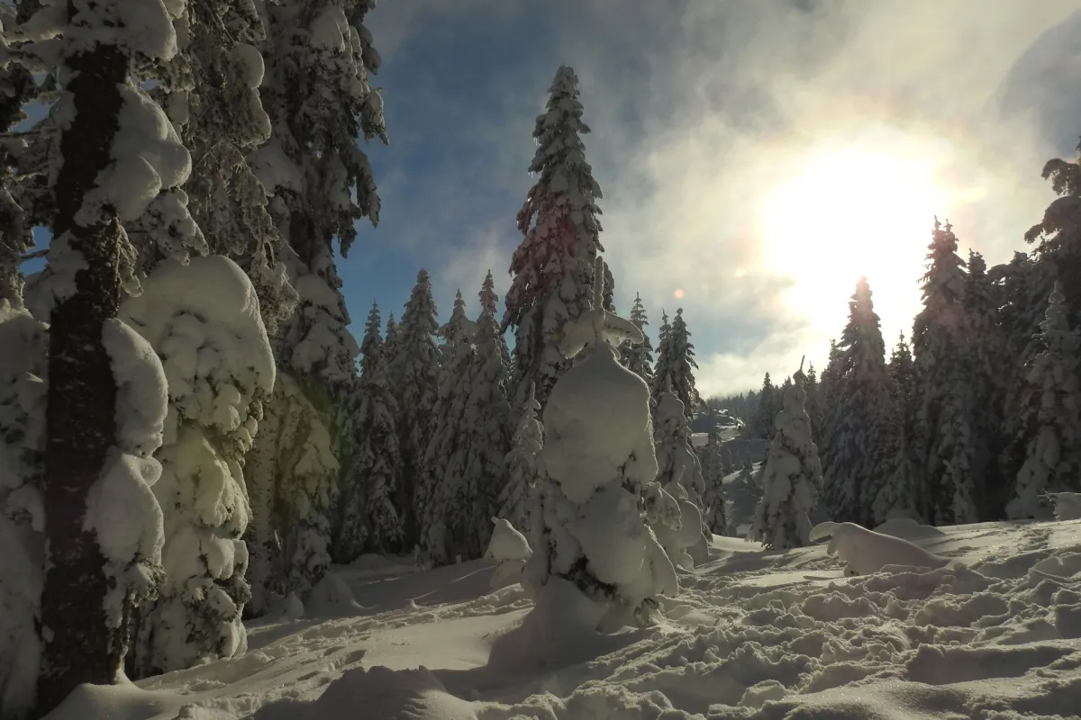 Konaklamalı Ilgaz Turu