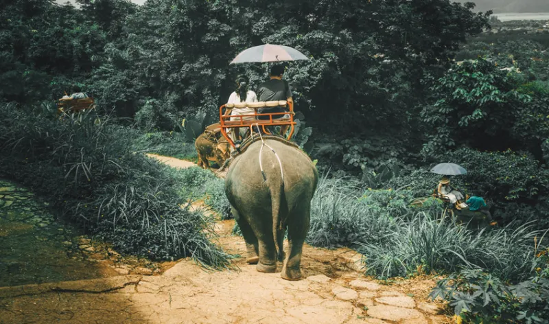 Bangkok Phuket Singapur Serüveni Turu Qatar Hava Yolları ile / 7 Gece Otel Konaklamalı / İstanbul Çıkışlı