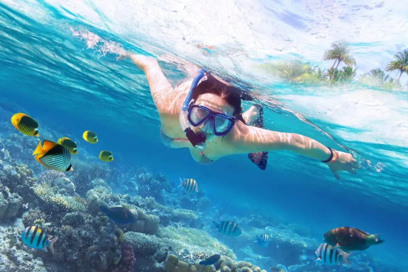 Sharm El Sheikh Turu SunEkspress ile Vizesiz Ekstra Turlar Dahil / 3 Gece Otel Konaklamalı / İzmir Çıkışlı