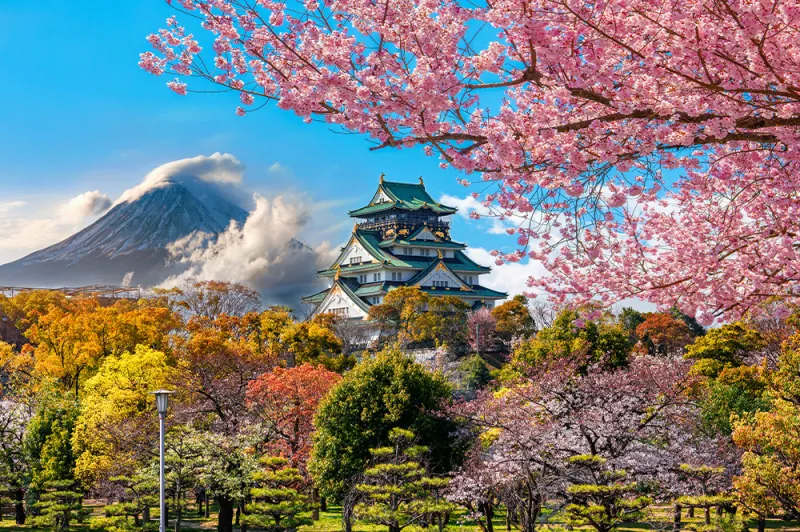 Comfort Japonya Ve Kore Turu Emirates Hava Yolları İle Ekstra Turlar Dahil / 8 Gece Otel Konaklamalı / İstanbul Çıkışlı