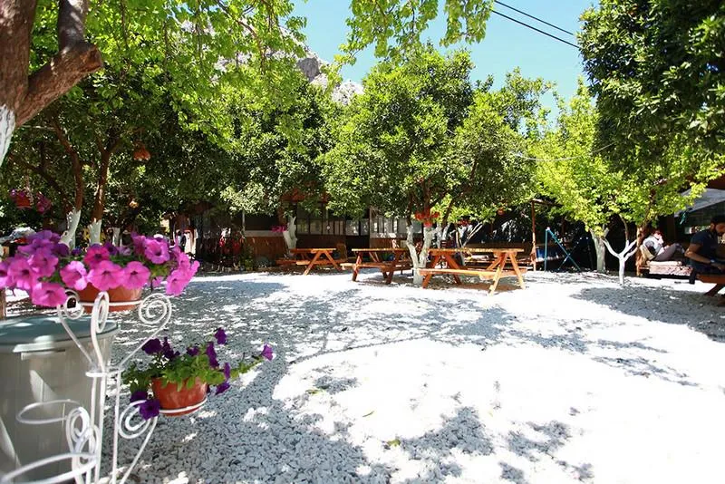 OLYMPOS RÜYA PANSİYON
