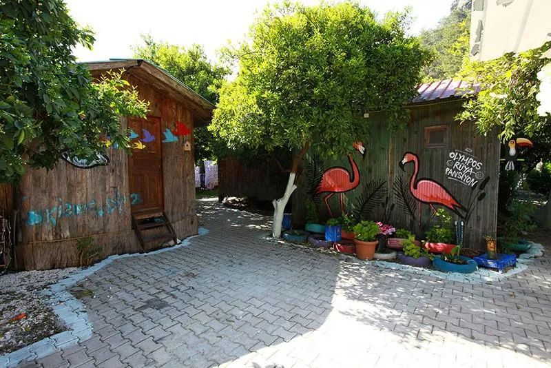 OLYMPOS RÜYA PANSİYON