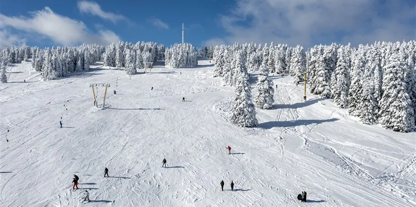 Erta Soyak Otel Uludağ