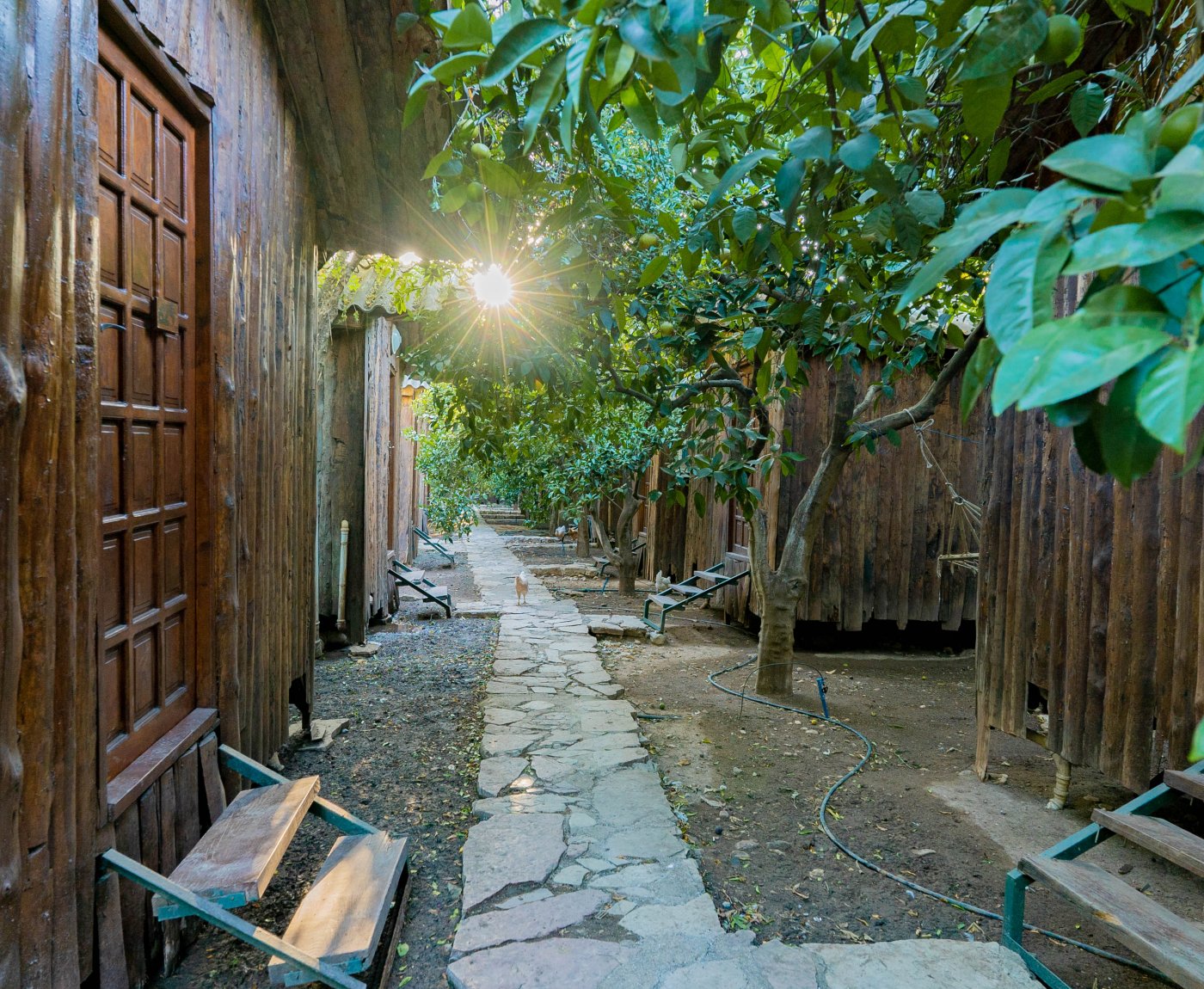 Türkmen Tree Houses