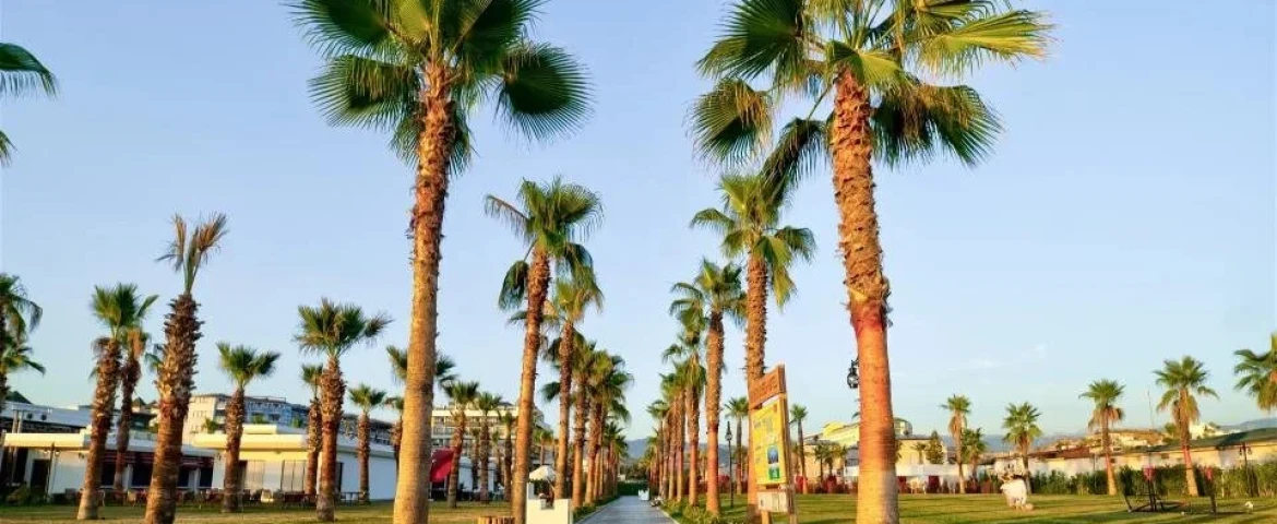 Serenity Queen Hotel