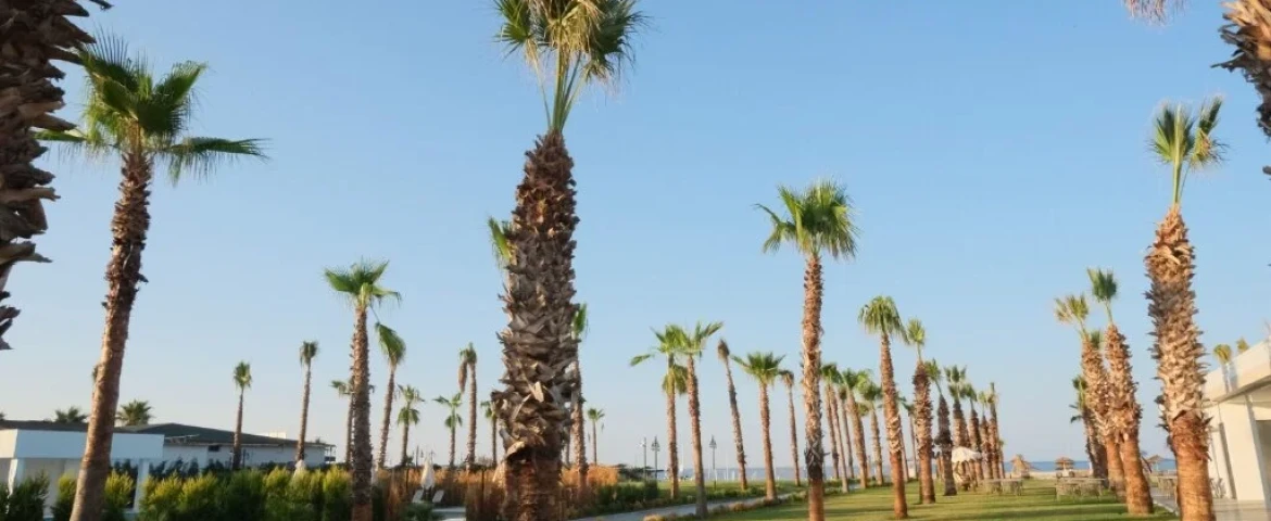 Serenity Queen Hotel