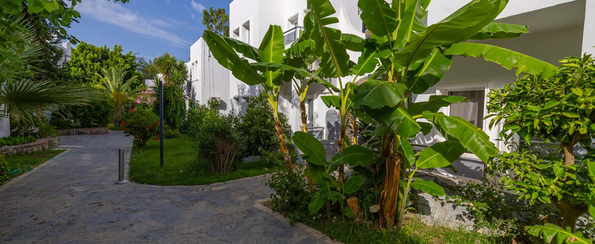 Ladonia Hotels Leo Beach Resort +16