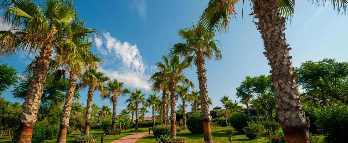 Hotel Turan Prince