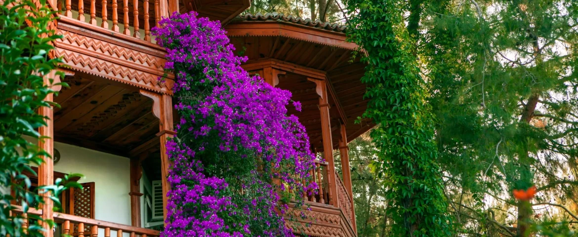 letoonia hotel