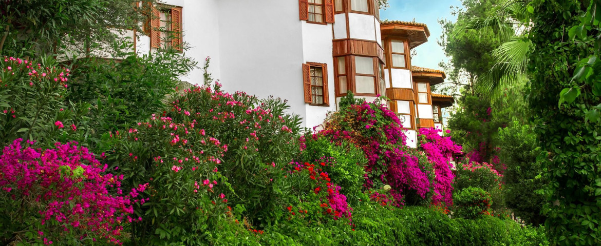 letoonia hotel