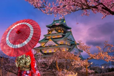 Comfort Japonya Kore Turu Emirates Havayolları İle Ekstra Turlar Dahil / 7 Gece Otel Konaklamalı / İstanbul Çıkışlı