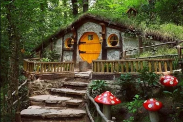 Günübirlik Sapanca Maşukiye Ormanya Turu