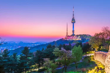 Elegant Japonya Turu Thy İle Vizesiz Ekstra Turlar Dahil / 7 Gece Otel Konaklamalı / İstanbul Çıkışlı