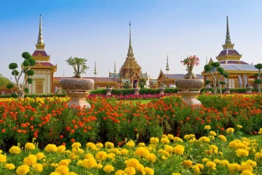 Comfort Bangkok Pattaya Phuket Kuala Lumpur Turu Thy İle Vizesiz Ekstra Turlar Dahil / 8 Gece Otel Konaklamalı / İstanbul Çıkışlı / Bangkok Gidiş / 2027