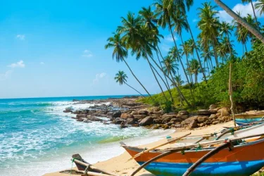 Elegant Sri Lanka Turu Thy İle Ekstra Turlar Dahil / 6 Gece Otel Konaklamalı / İstanbul Çıkışlı
