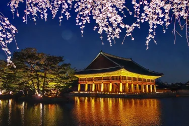 Dolu Dolu Japonya Kore Turu Thy İle Ekstra Turlar Dahil / 8 Gece Otel Konaklamalı / İstanbul Çıkışlı