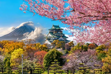 Comfort Japonya Ve Kore Turu Emirates Hava Yolları İle Ekstra Turlar Dahil / 8 Gece Otel Konaklamalı / İstanbul Çıkışlı