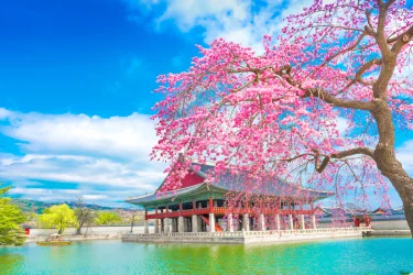 Elegant Japonya Turu Thy İle Ekstra Turlar Dahil Vizesiz / 7 Gece Otel Konaklamalı / İstanbul Çıkışlı
