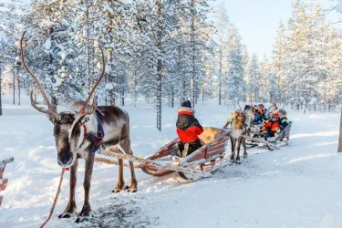 Büyüleyici Kuzey Işıkları Ve Lapland Turu Türk Hava Yolları İle Ekstra Turlar Dahil / 4 Gece Otel Konaklamalı / İstanbul Çıkışlı / 2027
