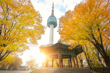 Doğan Güneşin Ülkesi Japonya Turu Thy İle Ekstra Turlar Dahil / 7 Gece Otel Konaklamalı / İstanbul Çıkışlı / 2027