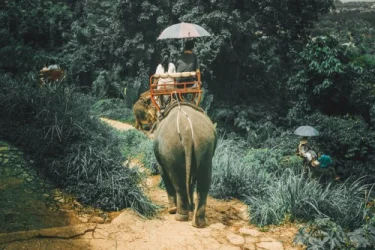 Phuket Phi Phi Adaları Egzotik Rotalar Turu Thy İle / 5 Gece Otel Konaklamalı / İstanbul Çıkışlı / 2027